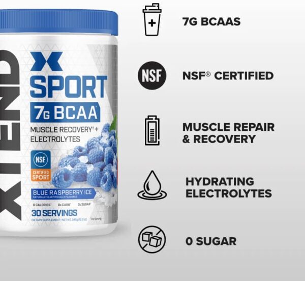XTEND Sport BCAA Powder Blue Raspberry Ice - Electrolyte Powder for Recovery & Hydration with Amino Acids - 30 Servings