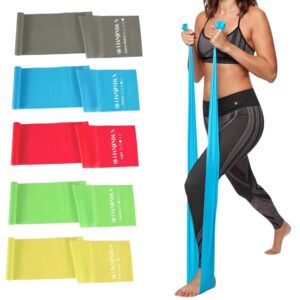 61vh3p7XXUL Lianjindun 5 Pcs Professional Resistance Bands. Latex-Free, Pilates Band, Work Out Bands, Stretch Bands for Working Out Women or Men, Exercise Bands Set for Pilates, Physical Therapy, Yoga