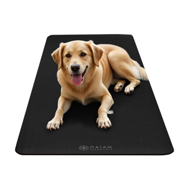 Gaiam Essentials Thick Yoga Mat Fitness & Exercise Mat with Easy-Cinch Carrier Strap, Black, 72"L X 24"W X 2/5 Inch Thick