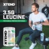 Xtend Original BCAA Powder, 7g BCAAs and 2.5g L-Glutamine for Muscle Recovery Hydration and Lean Muscle, Sugar Free Intra and Post Workout Drink with Electrolytes, Lemon Lime Squeeze, 30 Servings