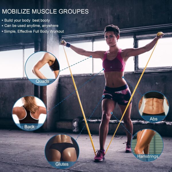 Lianjindun 5 Pcs Professional Resistance Bands. Latex-Free, Pilates Band, Work Out Bands, Stretch Bands for Working Out Women or Men, Exercise Bands Set for Pilates, Physical Therapy, Yoga