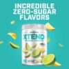 Xtend Scivation EAA + BCAA Powder | Muscle Recovery & Lean Muscle Growth | 9 Essential Amino Acids for Intra Workout or Post Workout Recovery | 10g EAAs Per 2 Servings | Lemon Lime 40 Servings
