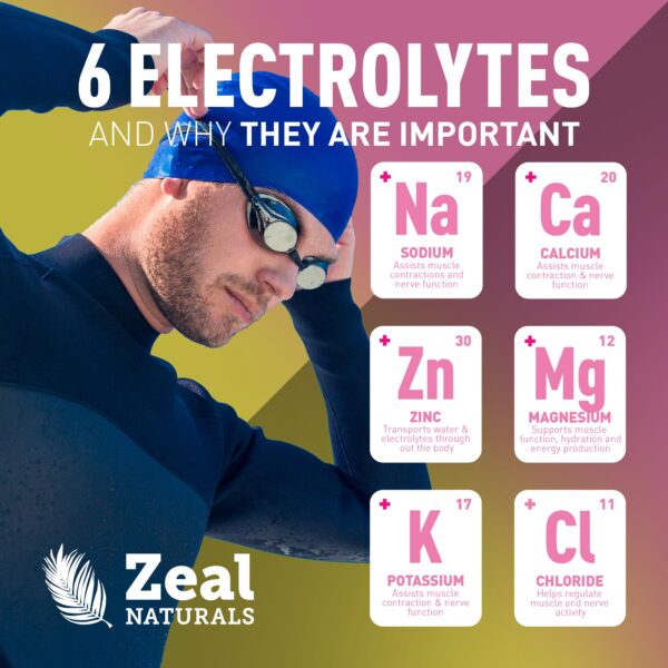 Zeal Electrolyte Powder - 90 Servings | Keto Electrolytes Powder | Zero Sugar, BCAAs, B-Vitamins | Potassium, Zinc, Magnesium | Hydration Powder Recovery Drink | Lemon Berry